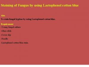 Lactophenol cotton blue mount