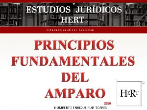 PRINCIPIOS FUNDAMENTALES DEL AMPARO 2016 HUMBERTO ENRIQUE RUIZ