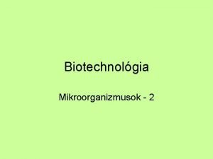 Biotechnolgia Mikroorganizmusok 2 Bacillusok Aerob Endosprs Gram Vltozatos