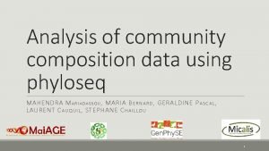 Analysis of community composition data using phyloseq MAHENDRA