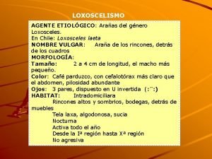 LOXOSCELISMO AGENTE ETIOLGICO Araas del gnero Loxosceles En