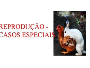 Recombinação genetica de bacterias