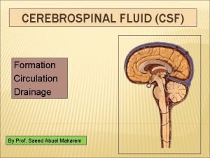 CEREBROSPINAL FLUID CSF Formation Circulation Drainage By Prof