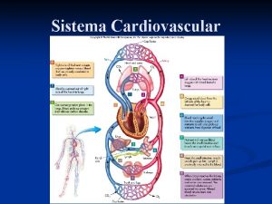 Sistema Cardiovascular Introduccin Todas las clulas corporales deben