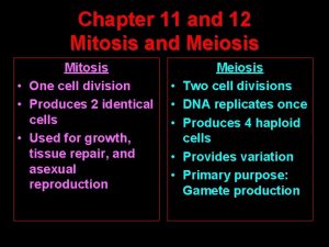 Purpose mitosis