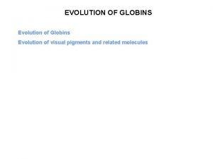 EVOLUTION OF GLOBINS Evolution of Globins Evolution of
