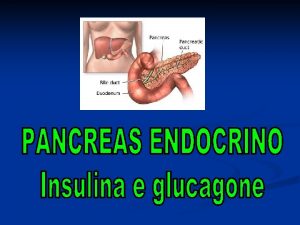 La parte endocrina del pancreas costituita dalle isole