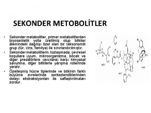 SEKONDER METOBOLTLER Sekonder metabolitler primer metabolitlerden biyosentetik yolla