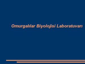 Omurgallar Biyolojisi Laboratuvar Omurgallar Chordata Srt taraflarnda bir