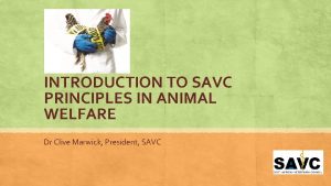 Roles and objectives of savc