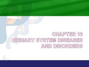 CHAPTER 13 URINARY SYSTEM DISEASES AND DISORDERS Anatomy