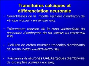 Transitoires calciques et diffrenciation neuronale Neuroblastes de la