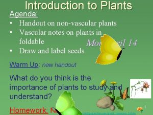 Introduction to Plants Agenda Handout on nonvascular plants