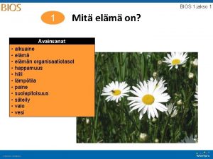 BIOS 1 jakso 1 1 Mit elm on
