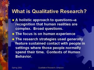 What is holistic approach in research