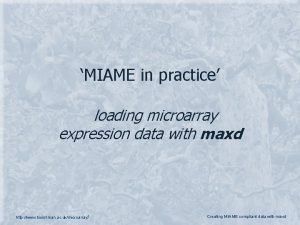 MIAME in practice loading microarray expression data with