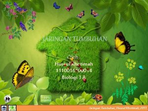 Meristem
