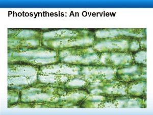 Objective of photosynthesis