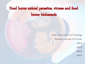 Food borne animal parasites viruses and food borne