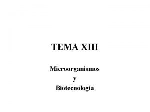 TEMA XIII Microorganismos y Biotecnologa Microorganismos Seres inferiores
