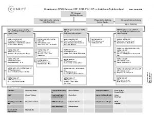 Organigramm OPM Campus CBF CCM CVK OP u