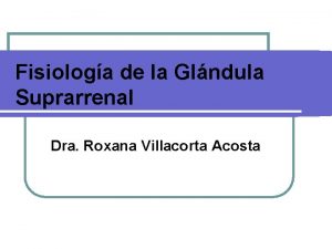 Fisiologa de la Glndula Suprarrenal Dra Roxana Villacorta