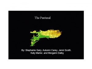 The Pantanal By Stephanie Gary Autumn Carey Jenni