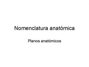Nomenclatura anatmica Planos anatmicos POSICION ANATOMICA Debido a