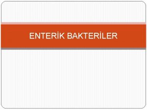 ENTERK BAKTERLER Enterik bakterilerin ou Enterobacteriacea ailesinin yesidirler