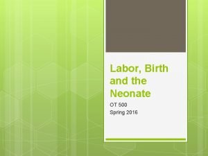 Labor Birth and the Neonate OT 500 Spring