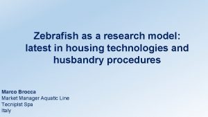 Zebrafish as a research model latest in housing