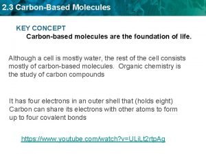 2 3 CarbonBased Molecules KEY CONCEPT Carbonbased molecules