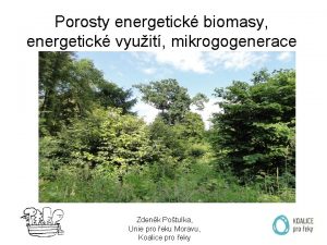 Porosty energetick biomasy energetick vyuit mikrogogenerace Zdenk Potulka