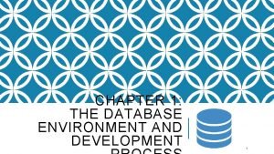 The database environment and development process