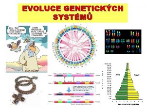 EVOLUCE GENETICKCH SYSTM EVOLUCE GENOMU Velikost genomu a
