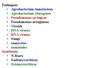 Pathogens Agrobacterium tumefaciens Agrobacterium rhizogenes Pseudomonas syringeae Pseudomonas