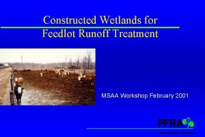 Constructed Wetlands for Feedlot Runoff Treatment MSAA Workshop