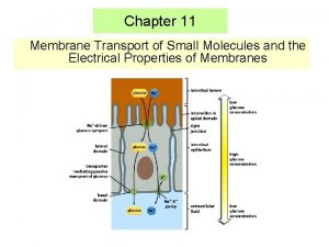 Ion channel