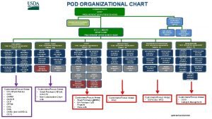 Nyu procurement org chart