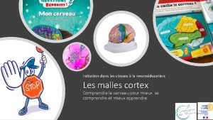 Initiation dans les classes la neuroducation Les malles