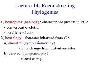 Lecture 14 Reconstructing Phylogenies 1 homoplasy analogy character