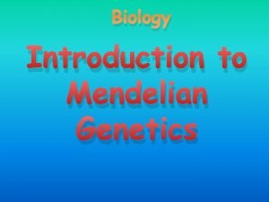 Biology Introduction to Mendelian Genetics Genetics The study