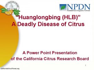 Huanglongbing HLB A Deadly Disease of Citrus A