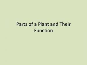 Parts of plants and their functions