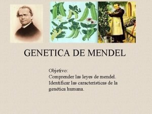 Genetica humana