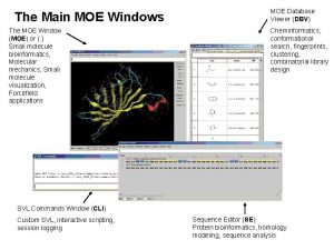 The Main MOE Windows The MOE Window MOE