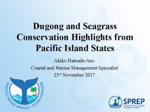 Dugong and Seagrass Conservation Highlights from Pacific Island