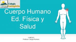 Cuerpo Humano Ed Fsica y Salud II MEDIO