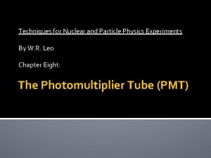 Pmt particle physics