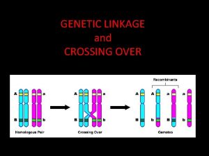 GENETIC LINKAGE and CROSSING OVER Genetic linkage is
